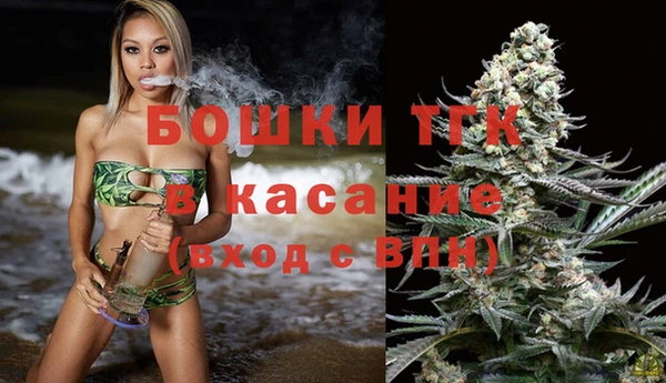 сатива Володарск