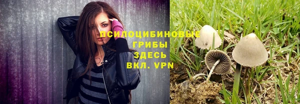 сатива Володарск