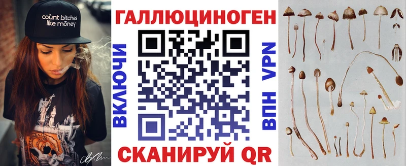 omg как зайти  Кулебаки  Псилоцибиновые грибы GOLDEN TEACHER 